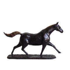 Paard /Horse